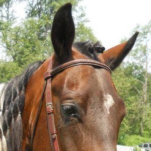 Meet your Posher, Cheryl